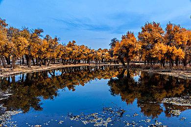 雀友大集结！麻将策略肉鸽游戏《青天井》新品节抢先试玩